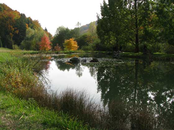 Arboretum 12.10.2008 13 52 19